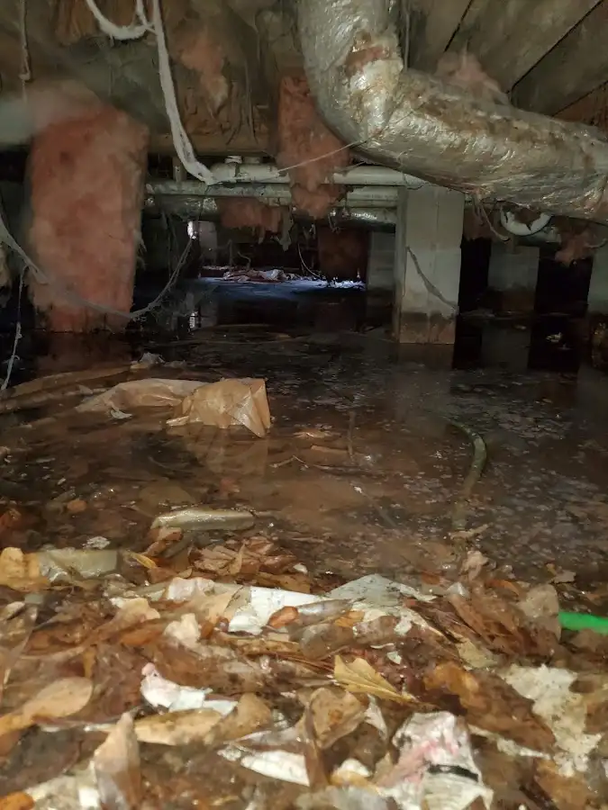 Crawl space flood assessment for Leak Detection & Repair in Wrightsboro